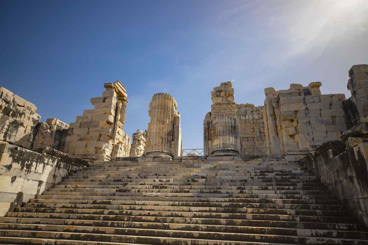 Aydın Apollo Temple of Didyma photo 6