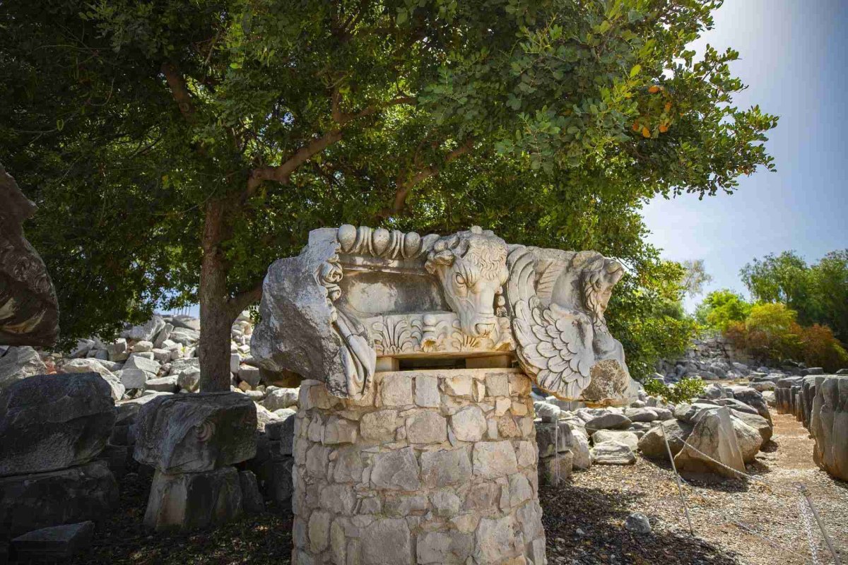 Aydın Apollo Temple of Didyma photo 7