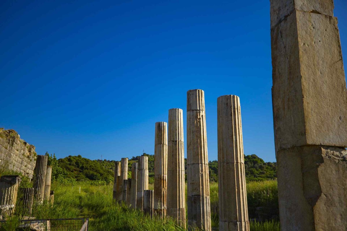 Aydın Magnesia Archeological Site photo 8
