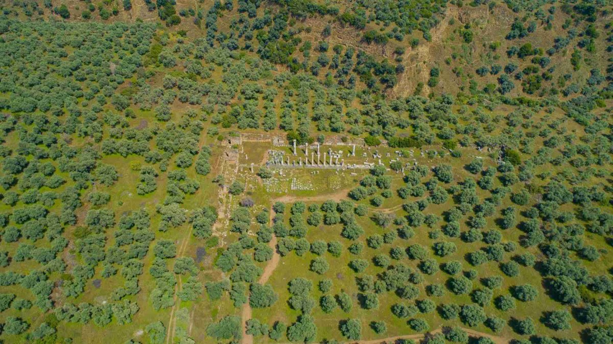 Aydın Nysa Archeological Site photo 8