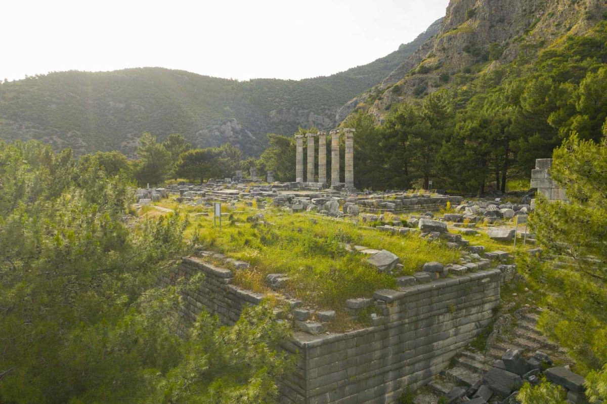 Aydın Priene Archeological Site photo 8