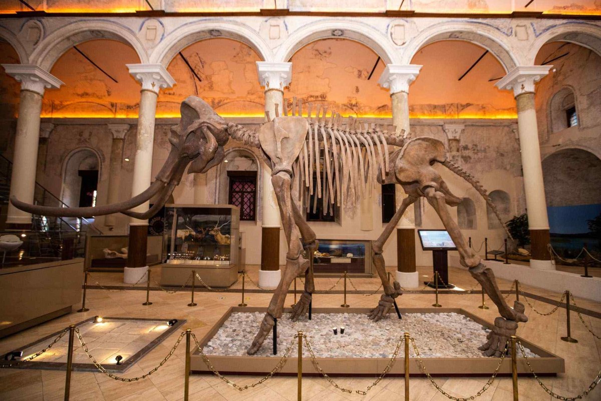 Burdur Museum of Natural History photo 6