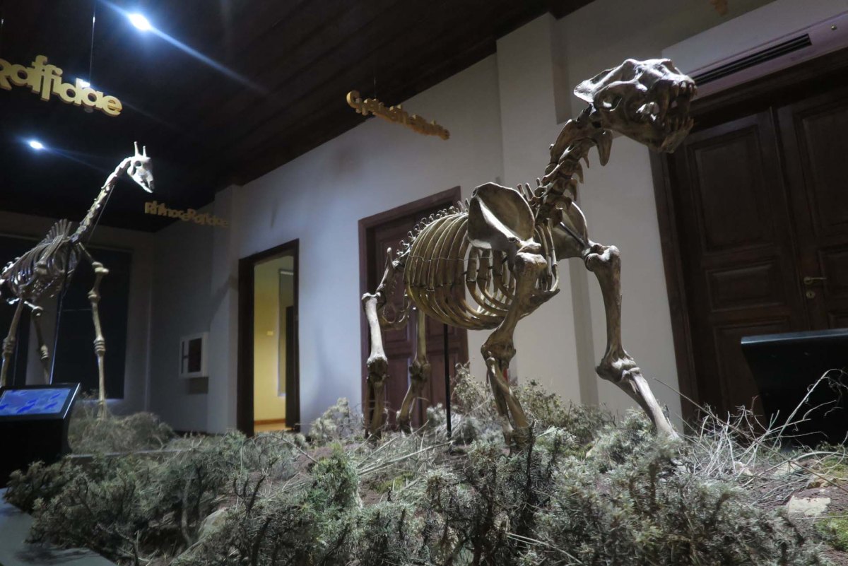 Çankırı Museum photo 5