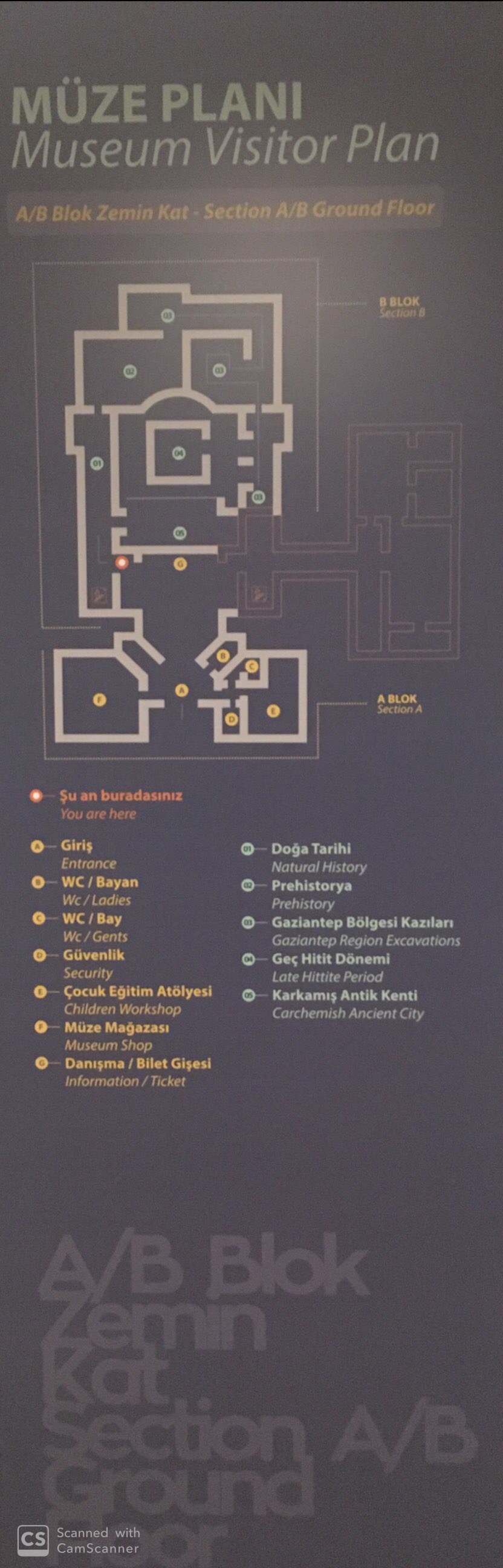 Gaziantep Archaeology Museum photo 2