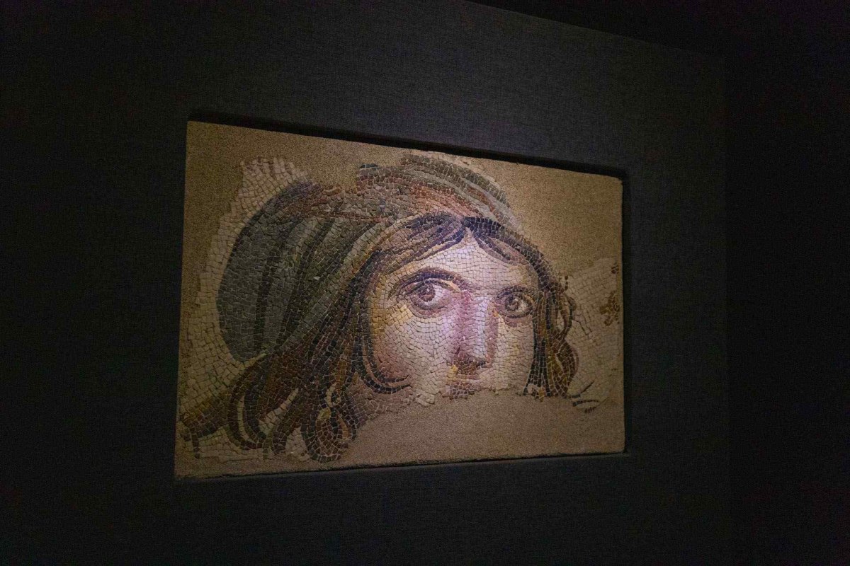Gaziantep Zeugma Mosaic Museum photo 7