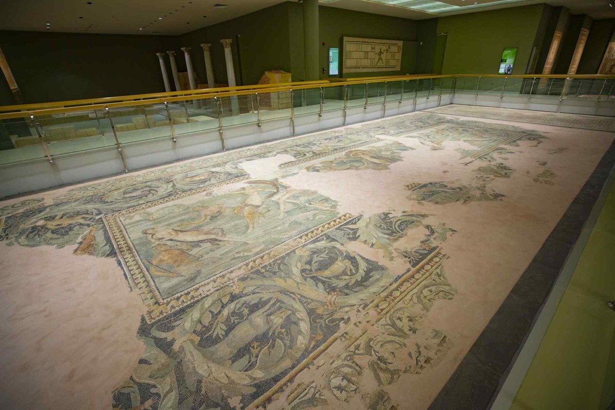 Hatay Archaeology Museum photo 6