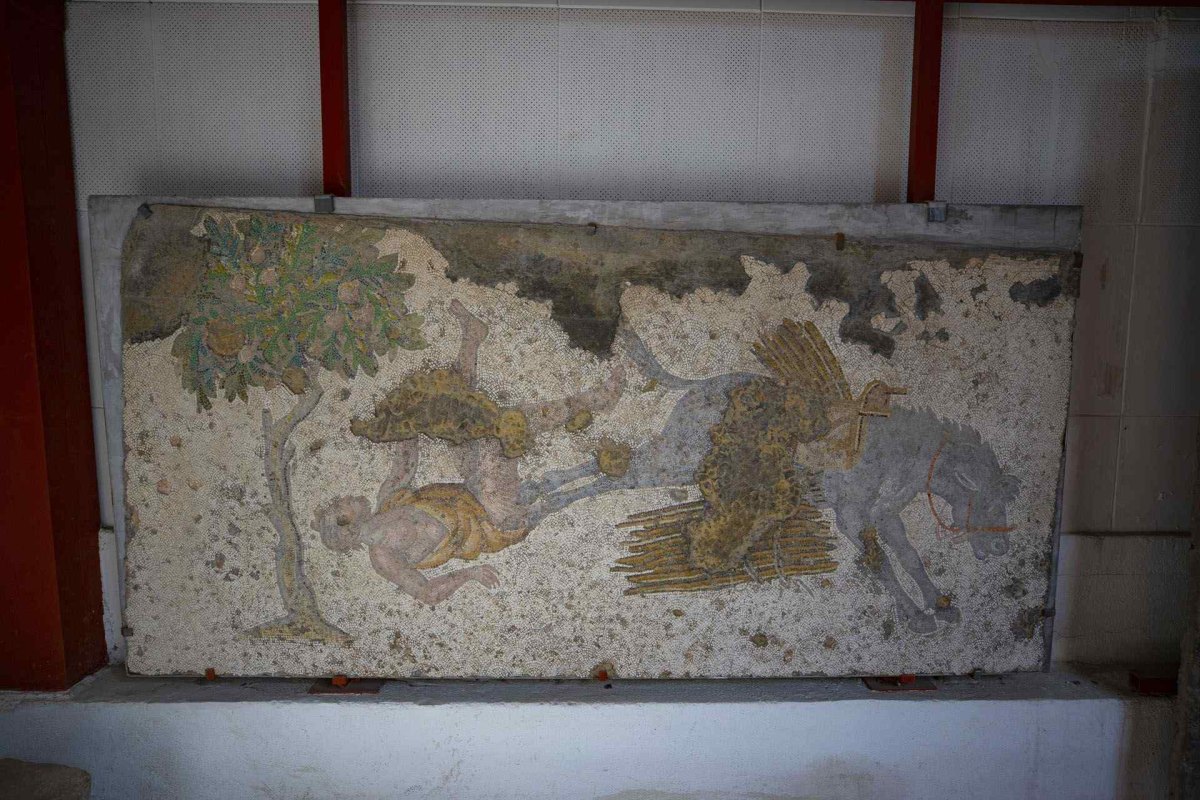 İstanbul Great Palaca Mosaics Museum photo 3