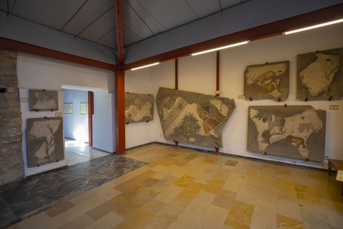 İstanbul Great Palaca Mosaics Museum photo 5