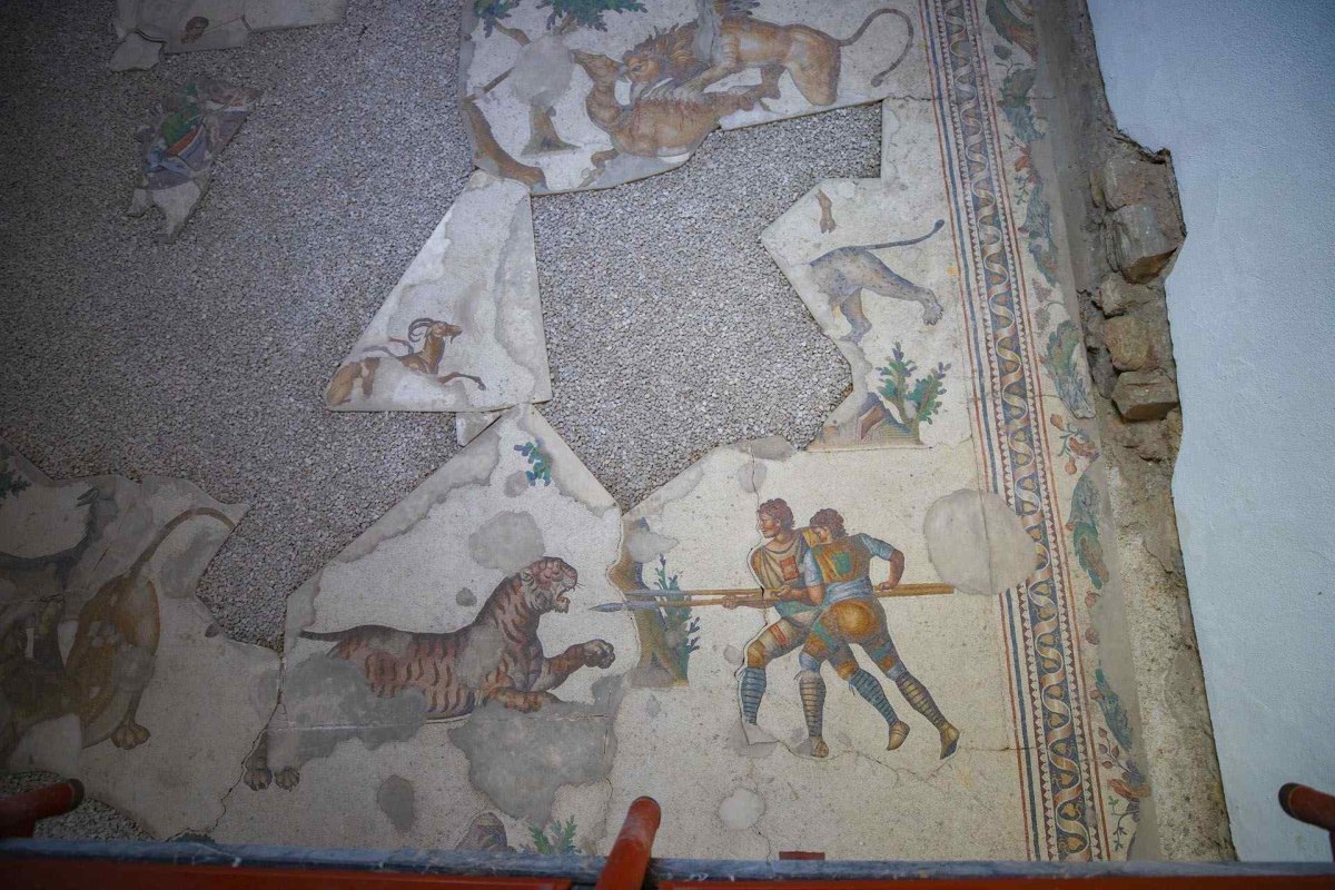 İstanbul Great Palaca Mosaics Museum photo 6