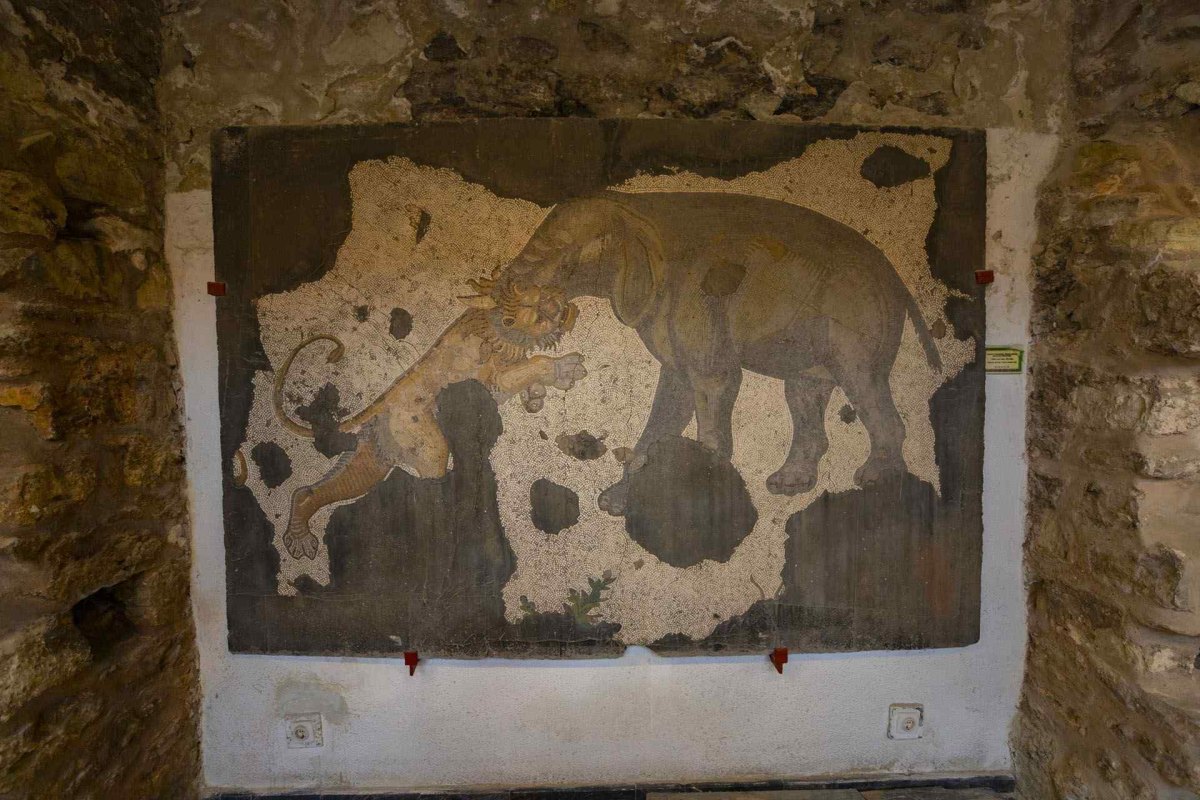 İstanbul Great Palaca Mosaics Museum photo 8