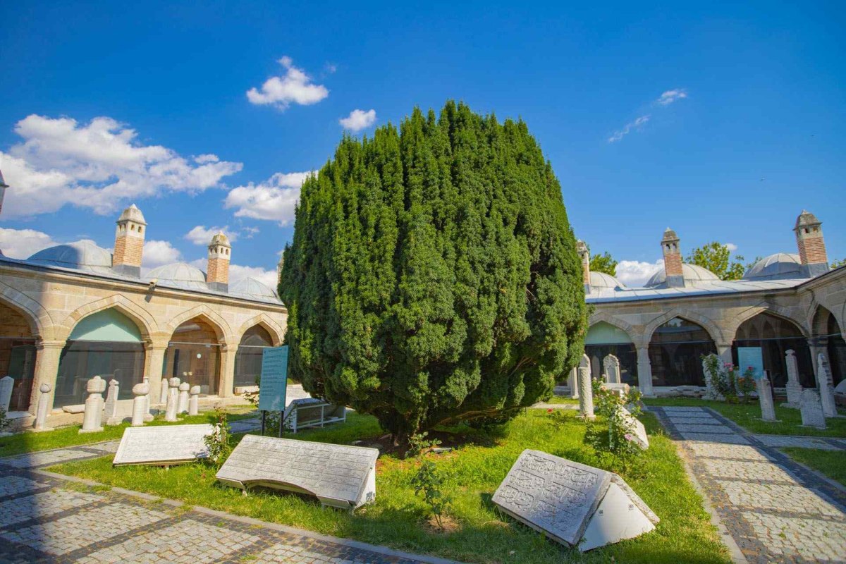 Edirne Turkish Islamic Arts Museum photo 3