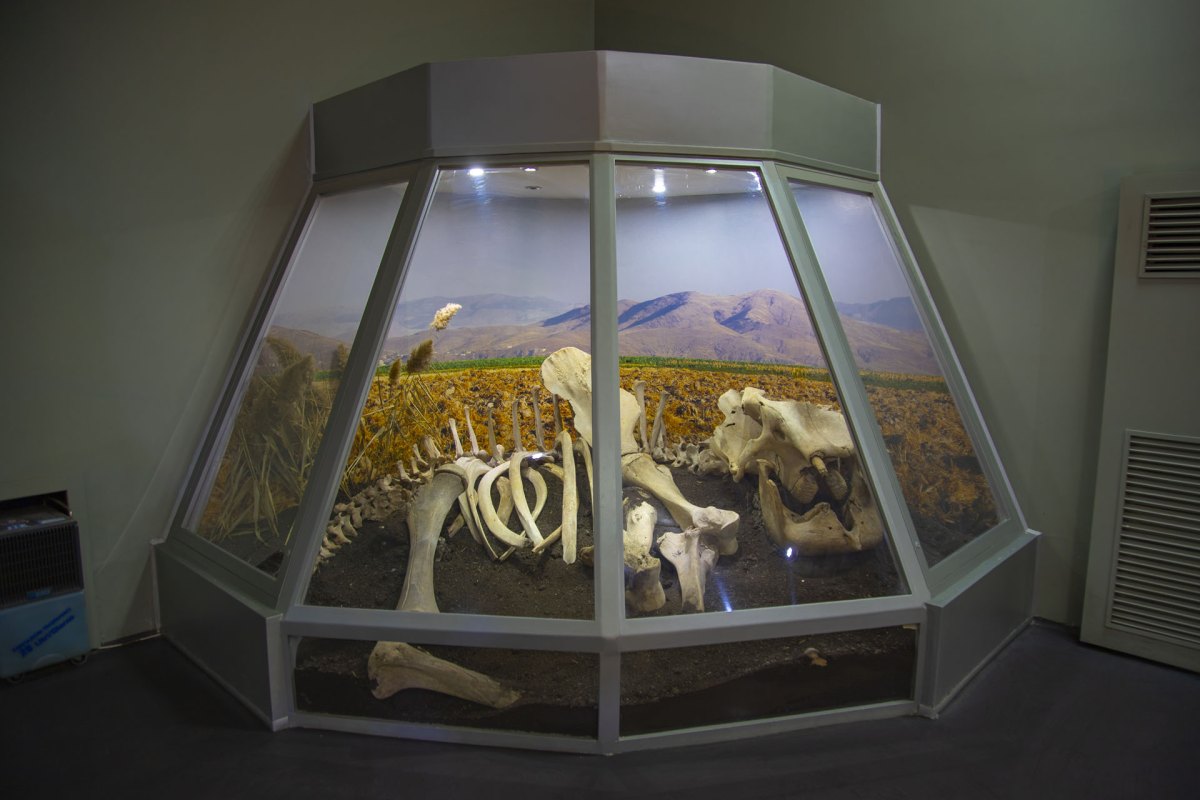 Kahramanmaraş Museum photo 4