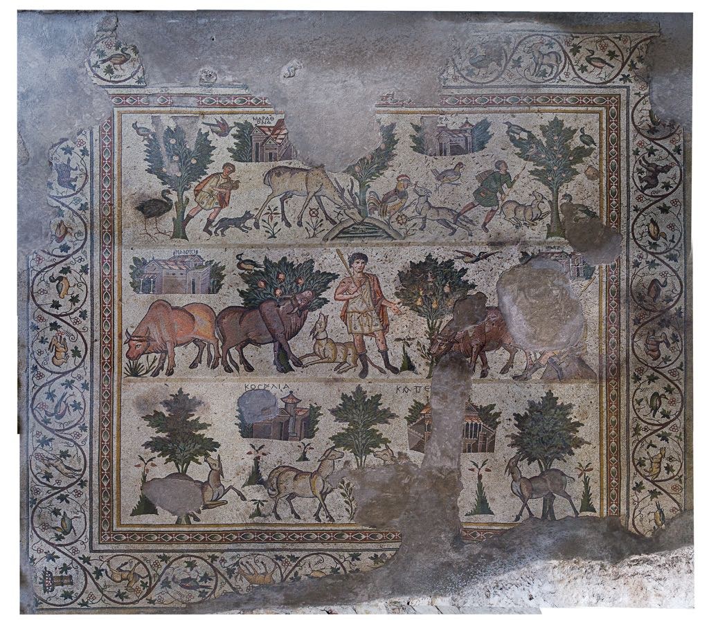 Kahramanmaraş Germanicia Mosaic Field