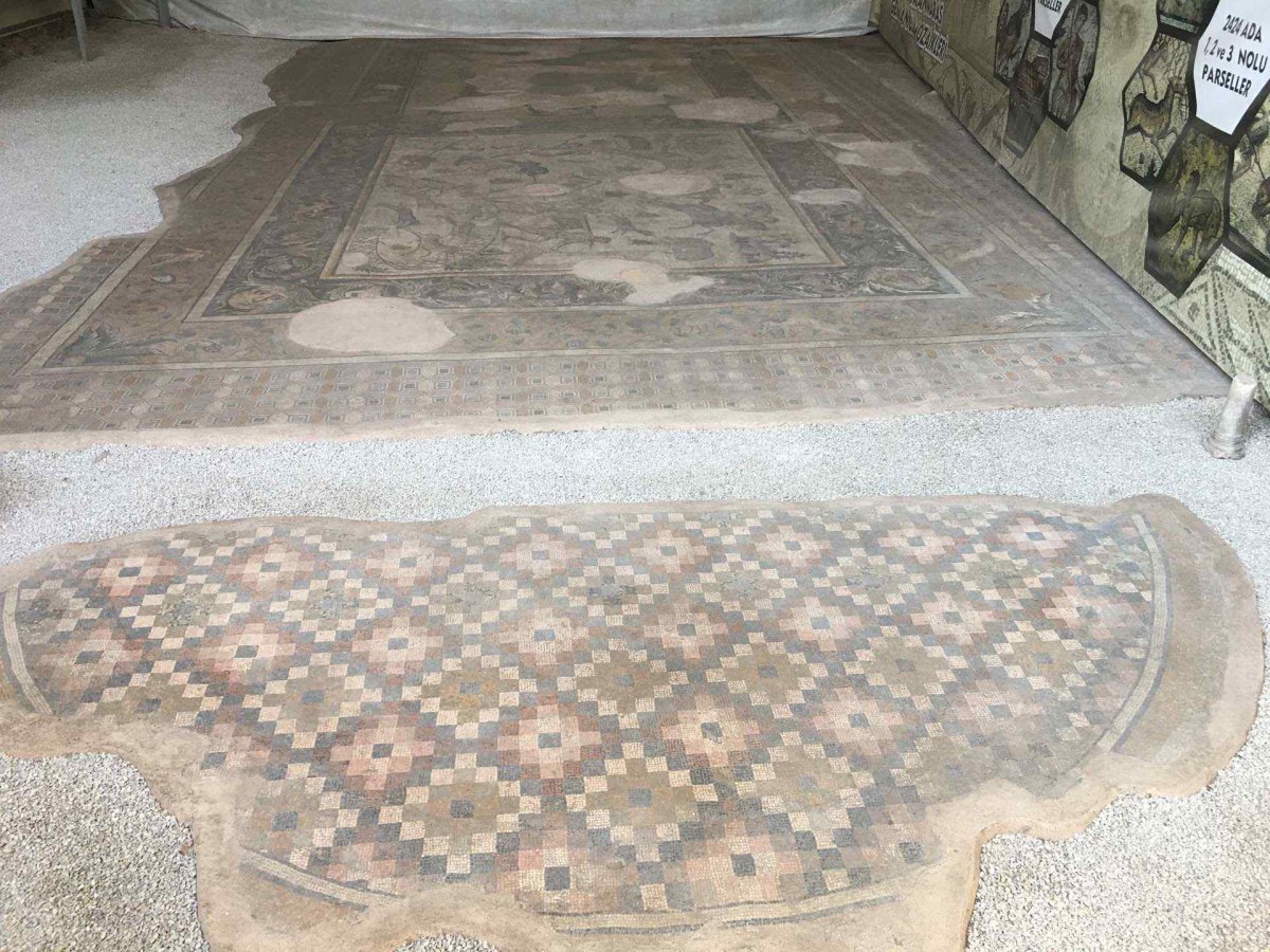 Kahramanmaraş Germanicia Mosaic Field photo 8