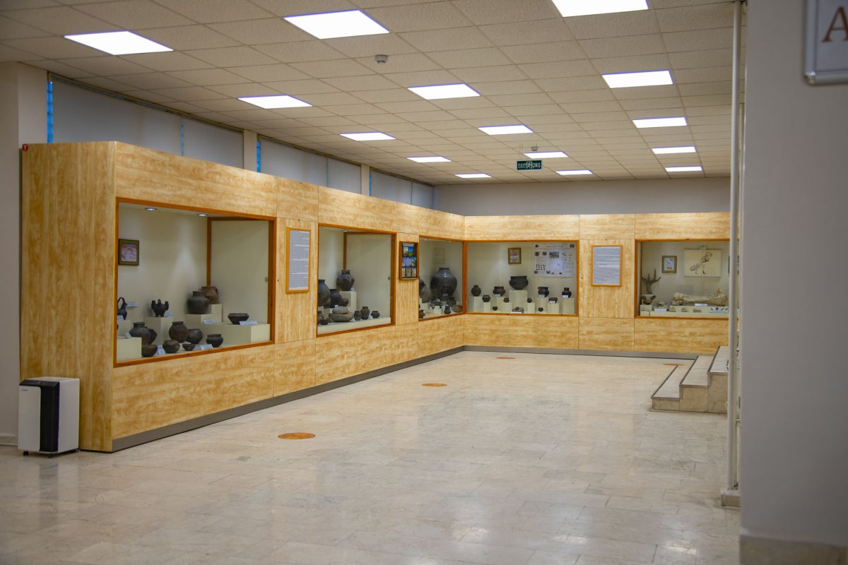 Kars Museum photo 6