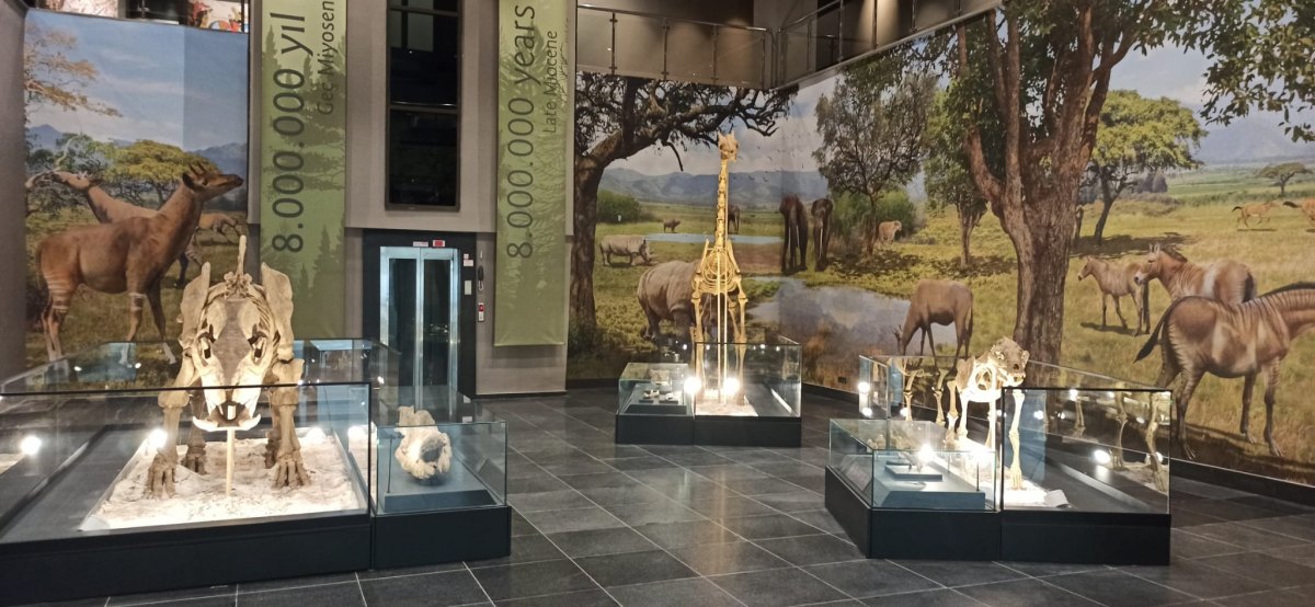 Kırşehir Museum Directorate photo 3