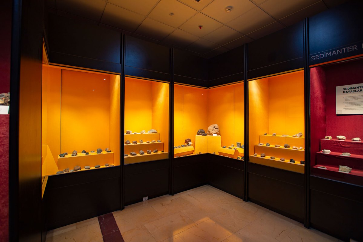 Ankara MTA Şehit Cuma DAĞ Natural History Museum photo 3