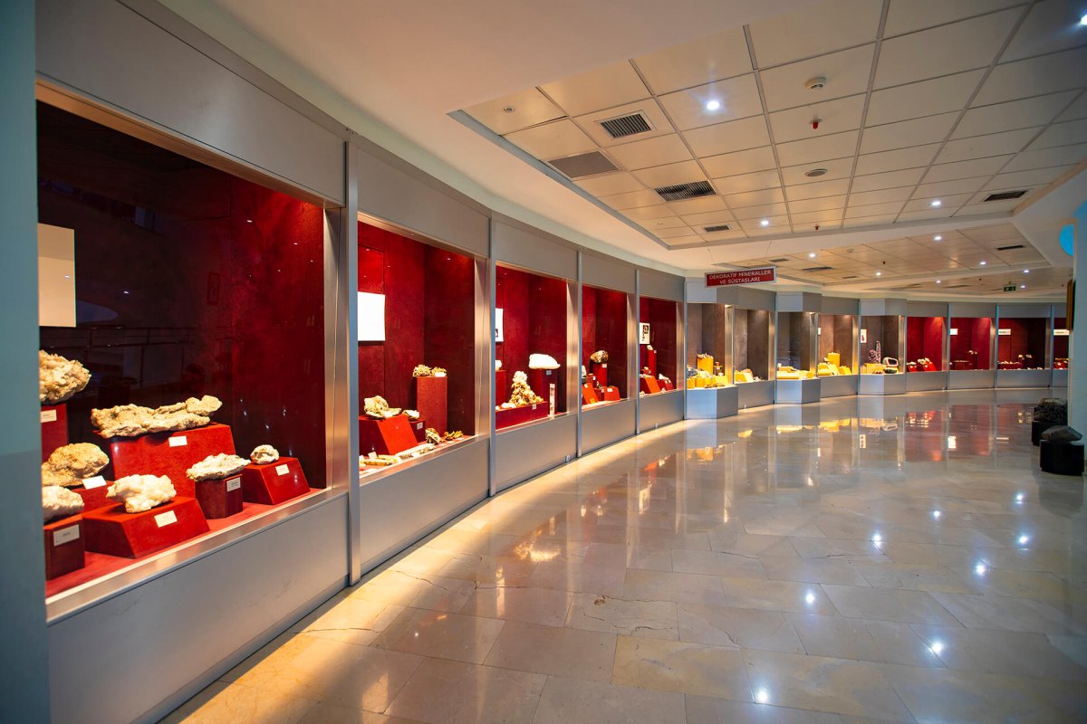 Ankara MTA Şehit Cuma DAĞ Natural History Museum photo 4