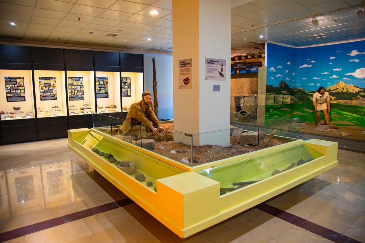 Ankara MTA Şehit Cuma DAĞ Natural History Museum photo 6