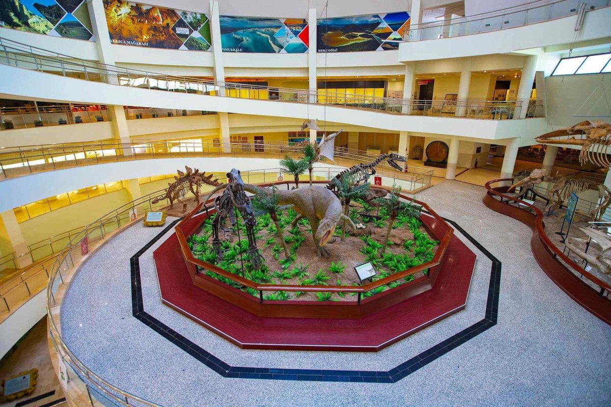 Ankara MTA Şehit Cuma DAĞ Natural History Museum photo 7