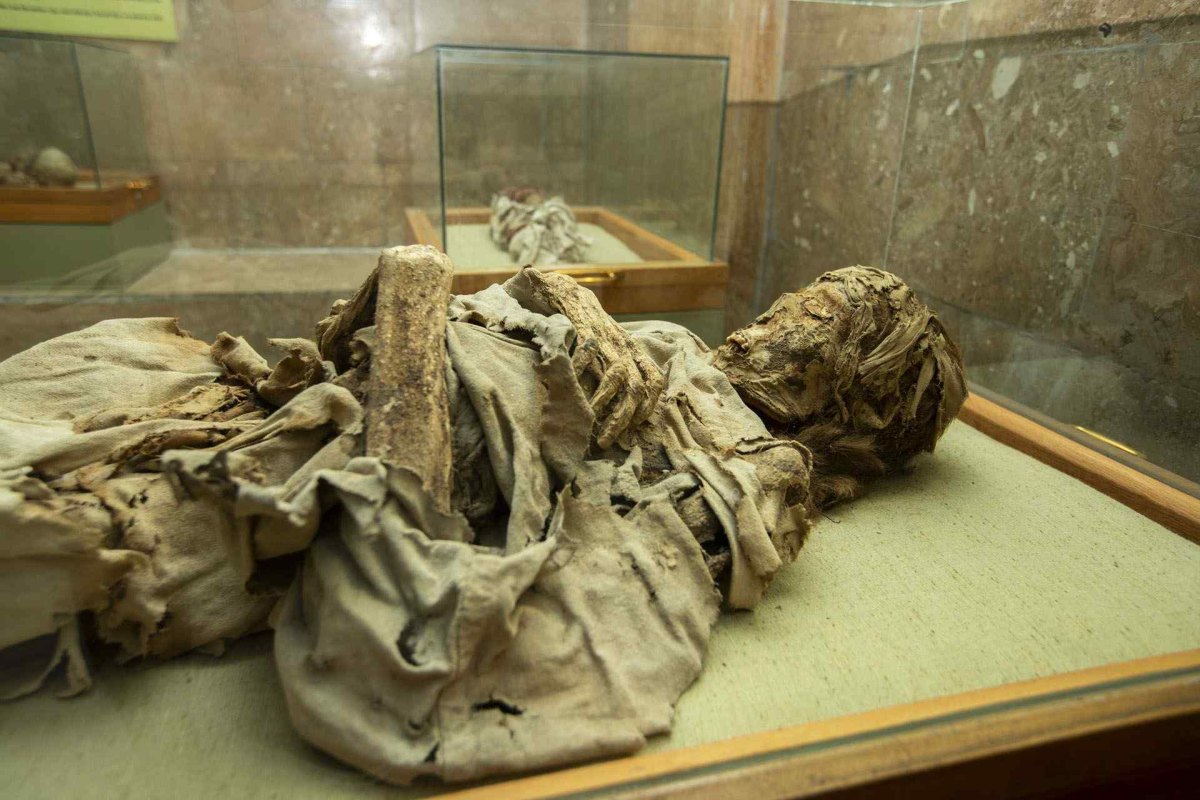Niğde Museum photo 6
