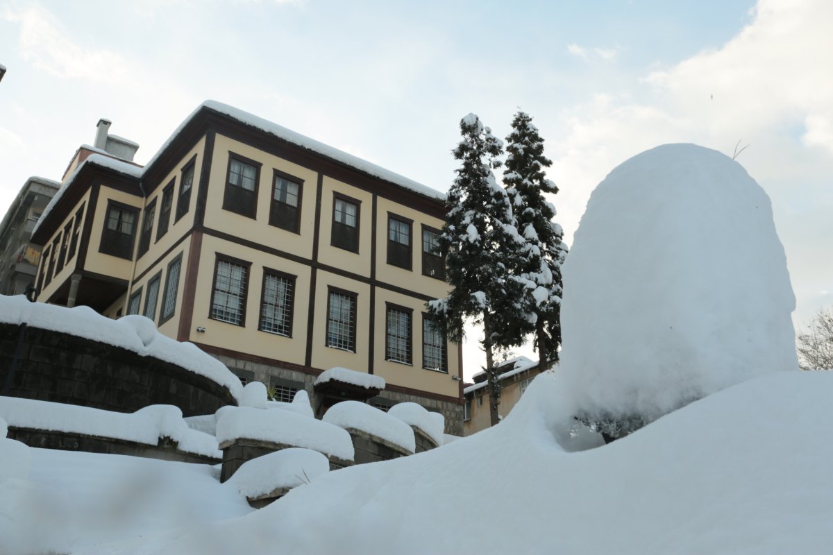 Rize Museum photo 6