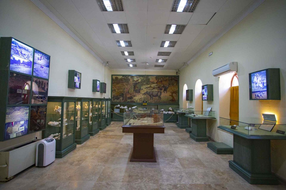 Muğla Museum photo 7