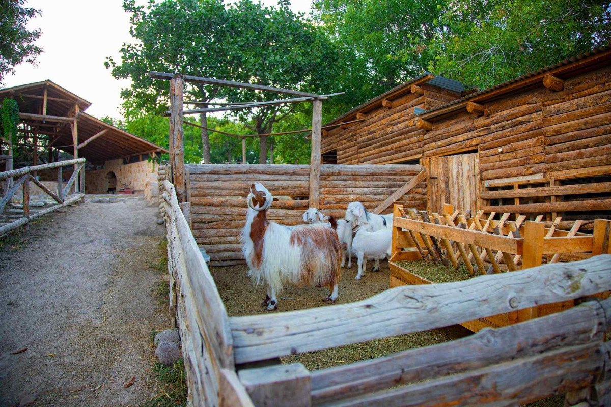 Ankara Anatolian Open Air Museum photo 4