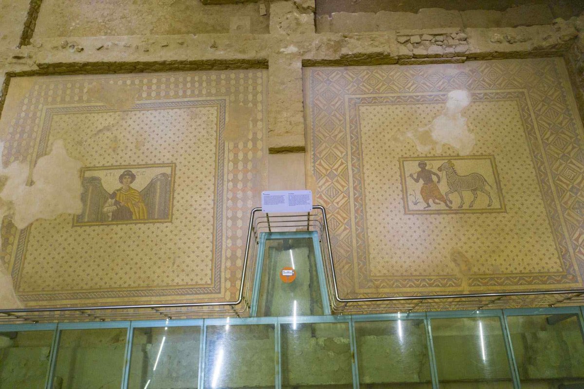 Şanlıurfa Haleplibahçe Mosaic Museum photo 2