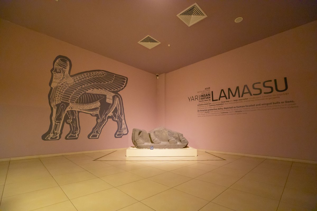 Şanlıurfa Museum photo 6
