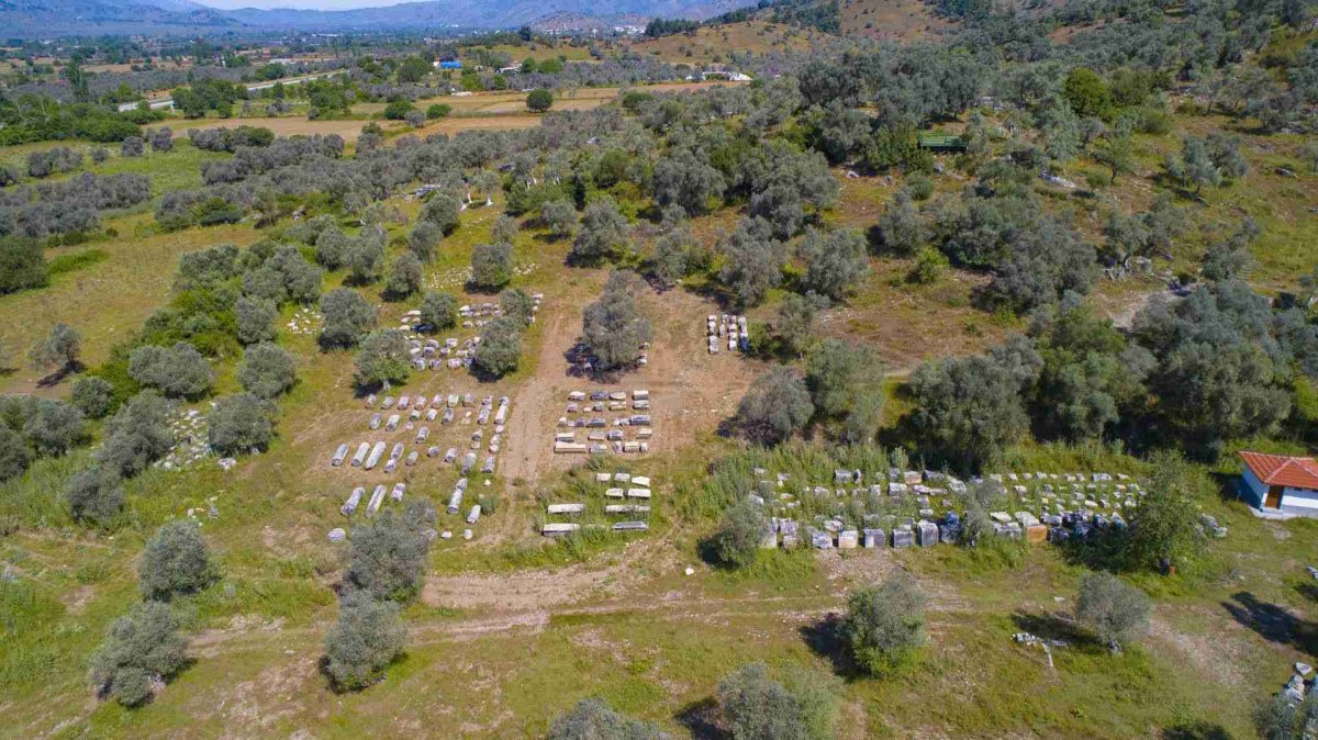 Muğla Euromos Archaelogical Site