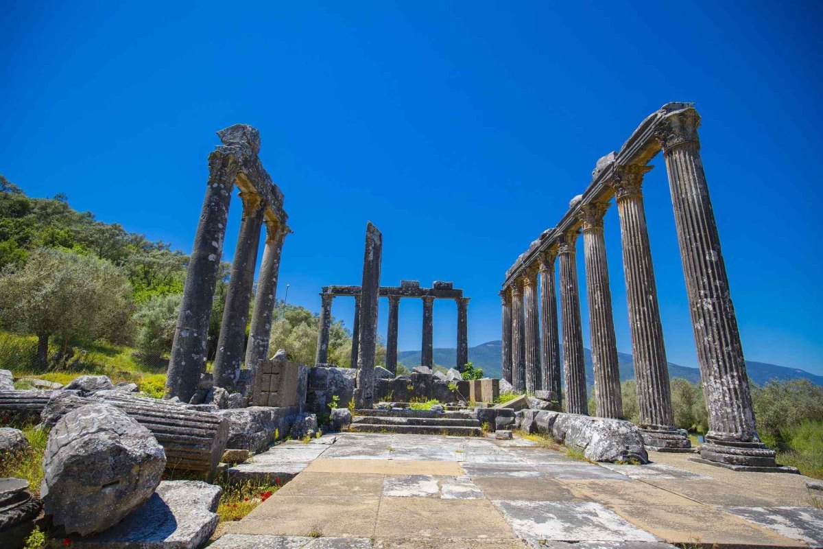 Muğla Euromos Archaelogical Site photo 7
