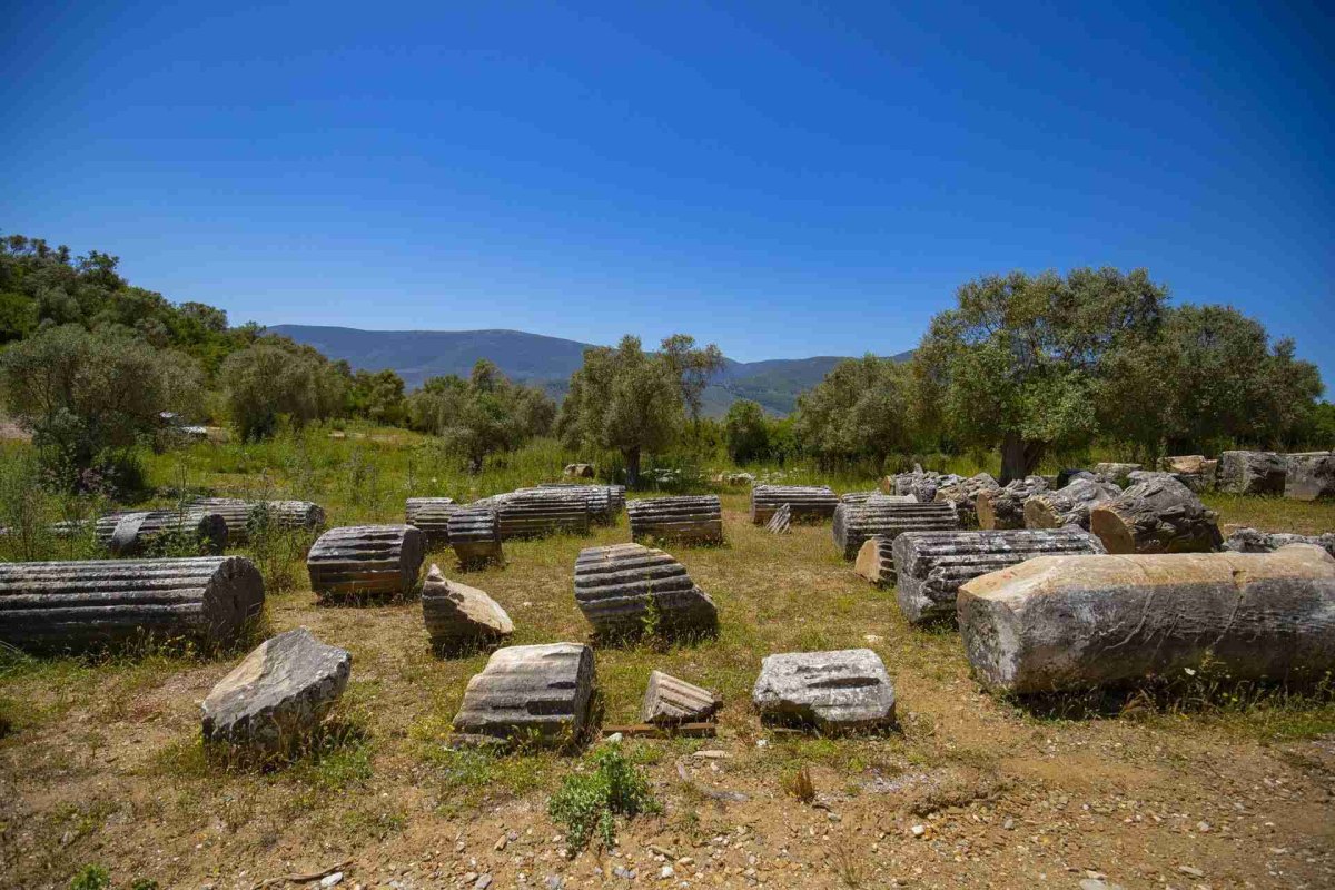 Muğla Euromos Archaelogical Site photo 8