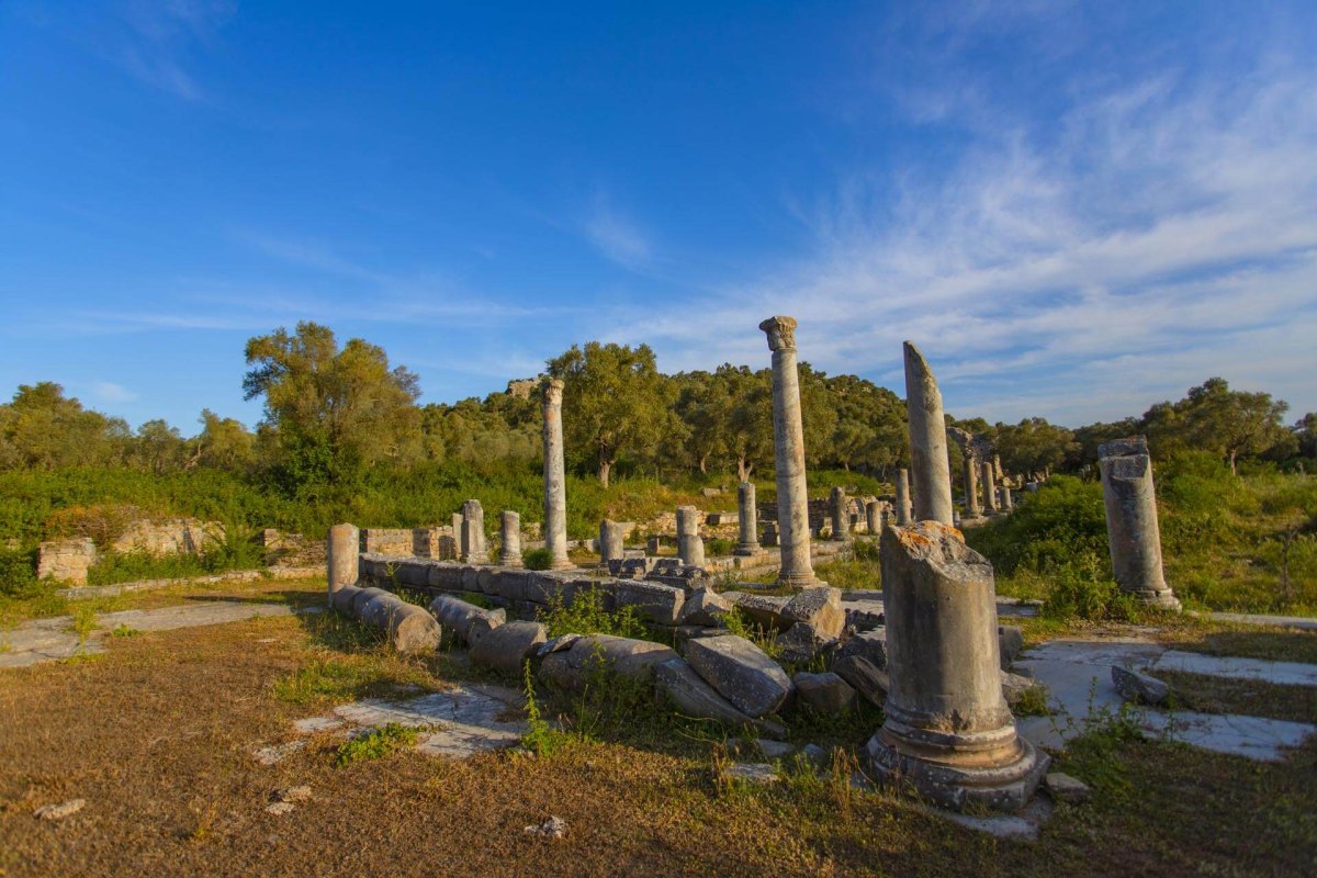 Muğla The Archaeological Site of Iassos photo 4