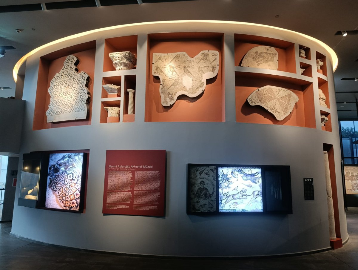 Hatay Necmi Asfuroğlu Archaeological Museum photo 6