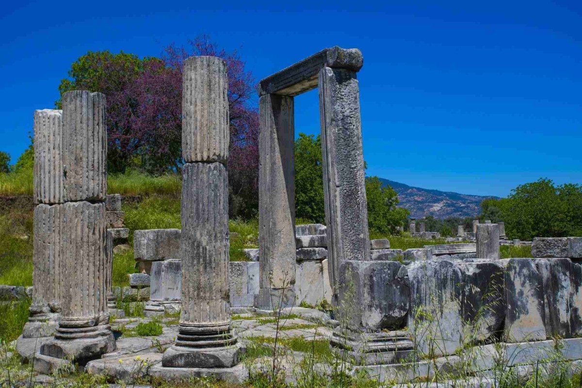 Muğla Lagina Archaeological Site photo 6