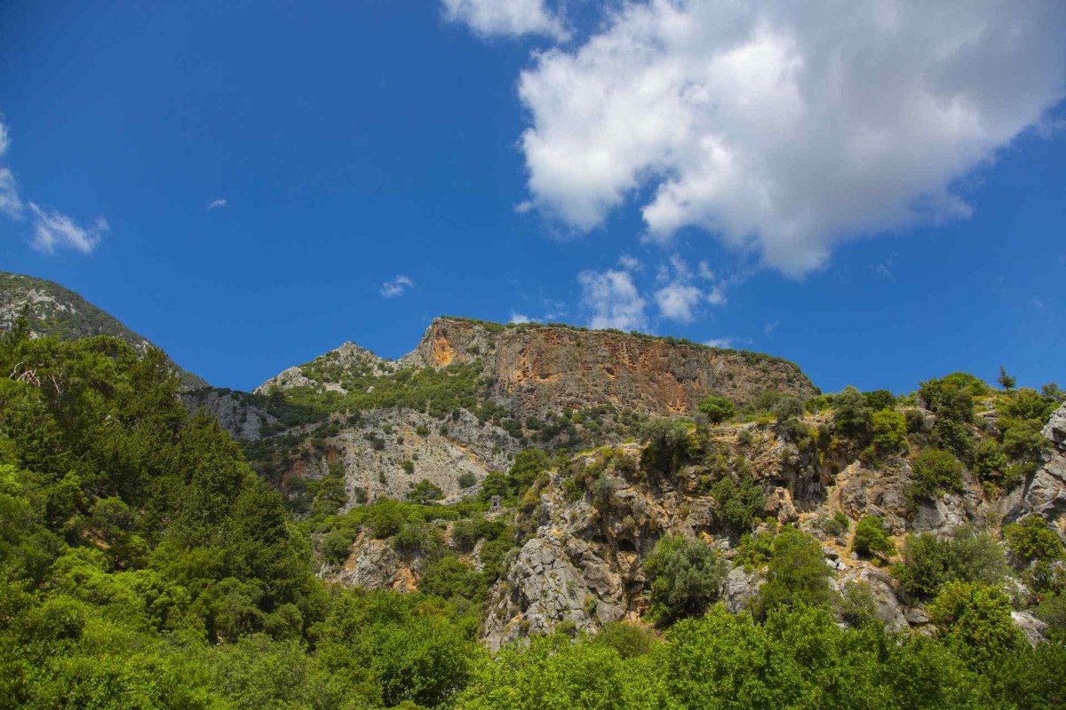 Muğla Pınara Archaeological Site photo 3
