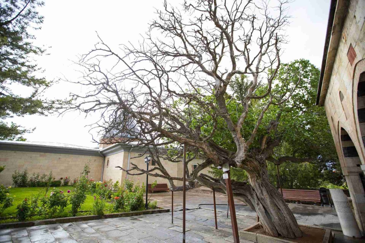 Nevşehir Hacıbektaş Museum photo 8