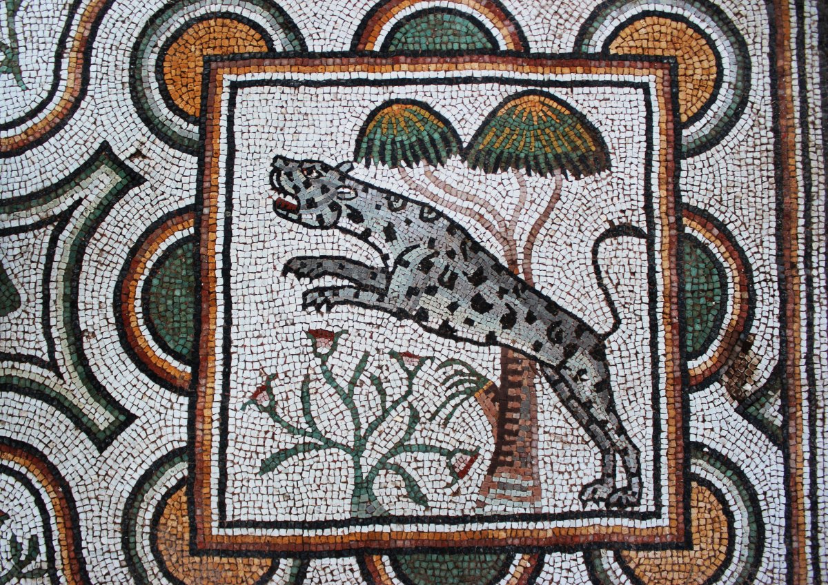 KARABÜK Hadrianapolis Archaeological Site photo 8