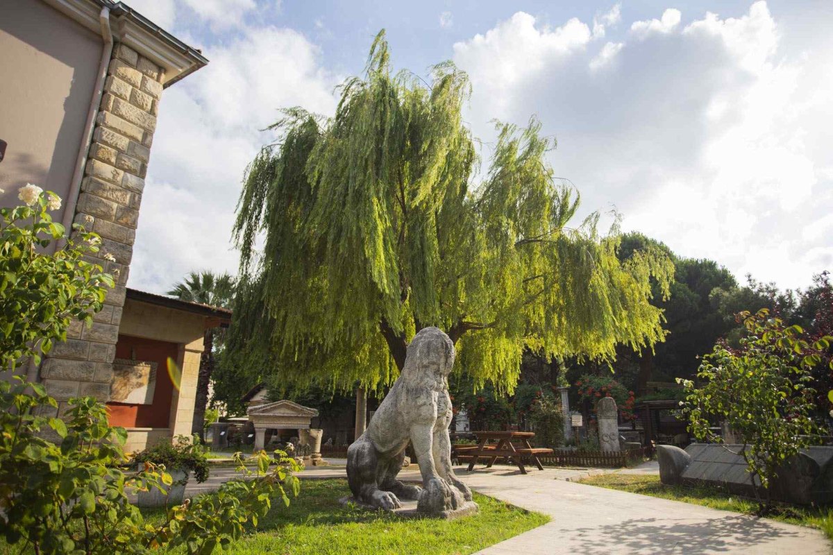 Sinop Museum photo 2