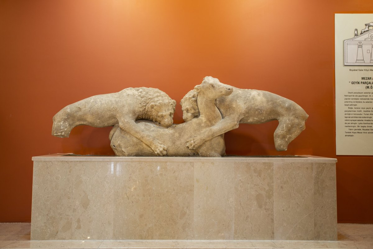 Sinop Museum photo 5