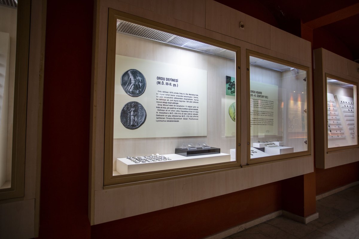 Sinop Museum photo 7