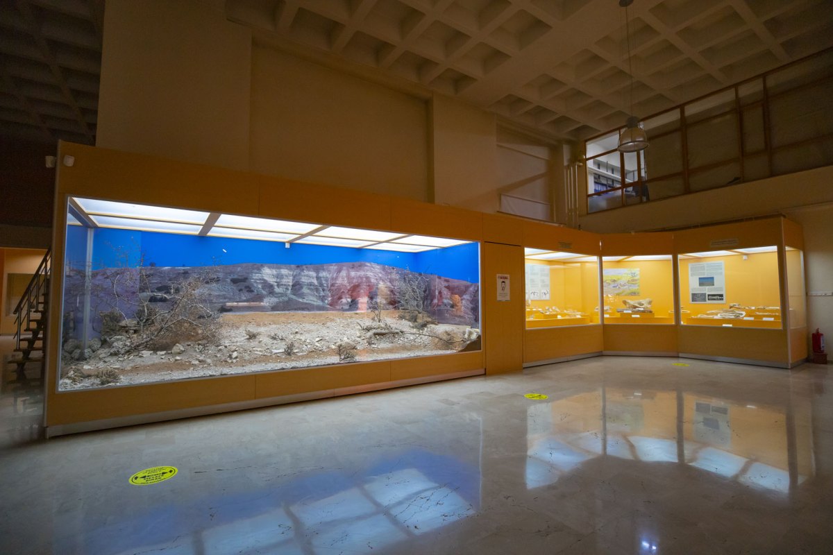Sivas Archaeological Museum photo 5