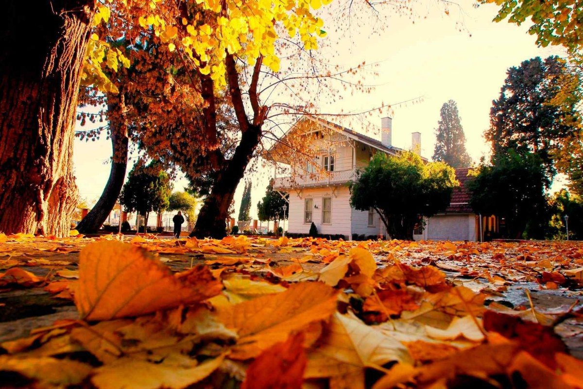 Osman Hamdi Bey Pavilion and Museum photo 3