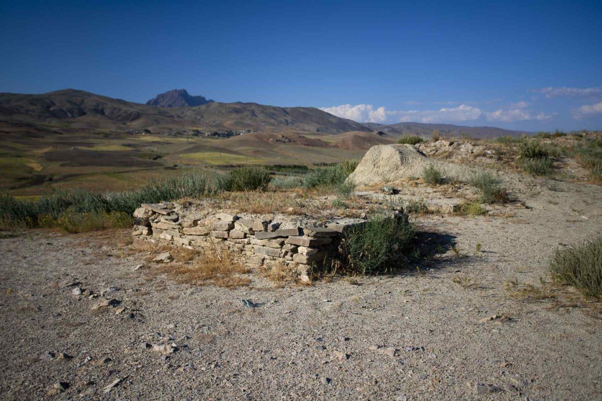 Van Çavuştepe Castle photo 7