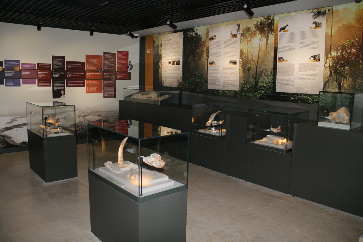 Denizli City Museum photo 2