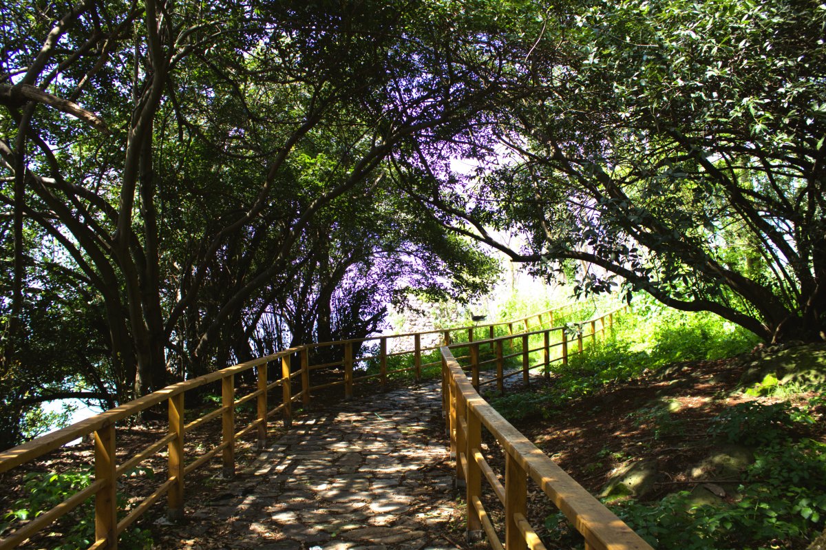 Giresun Aretias Island photo 8