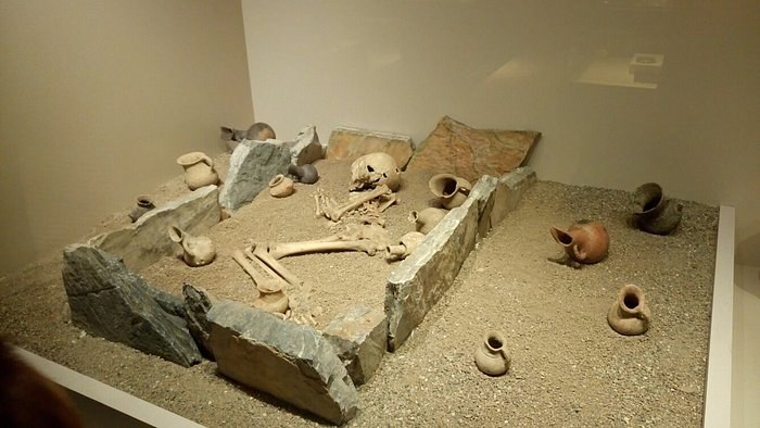 Eskişehir ETİ Arkeoloji Müzesi photo 3