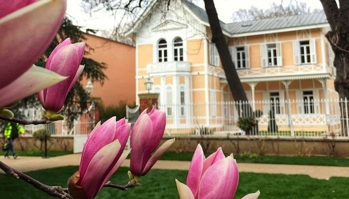 Istanbul Museum of Painting and Sculpture photo 3