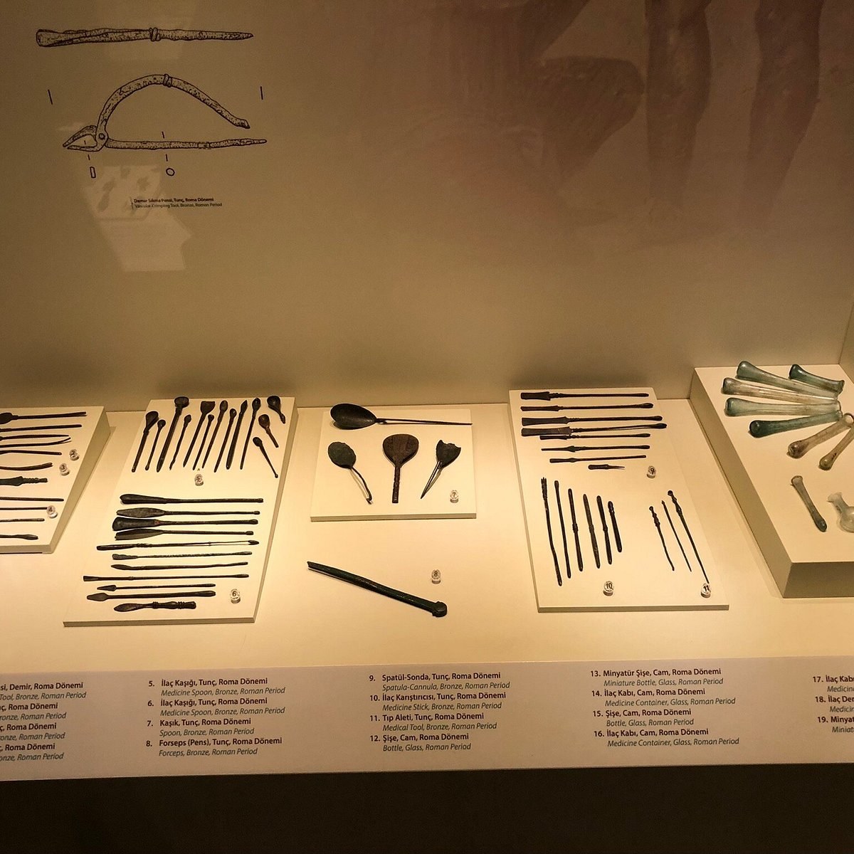 Gaziantep Museum of Archaelogy photo 3